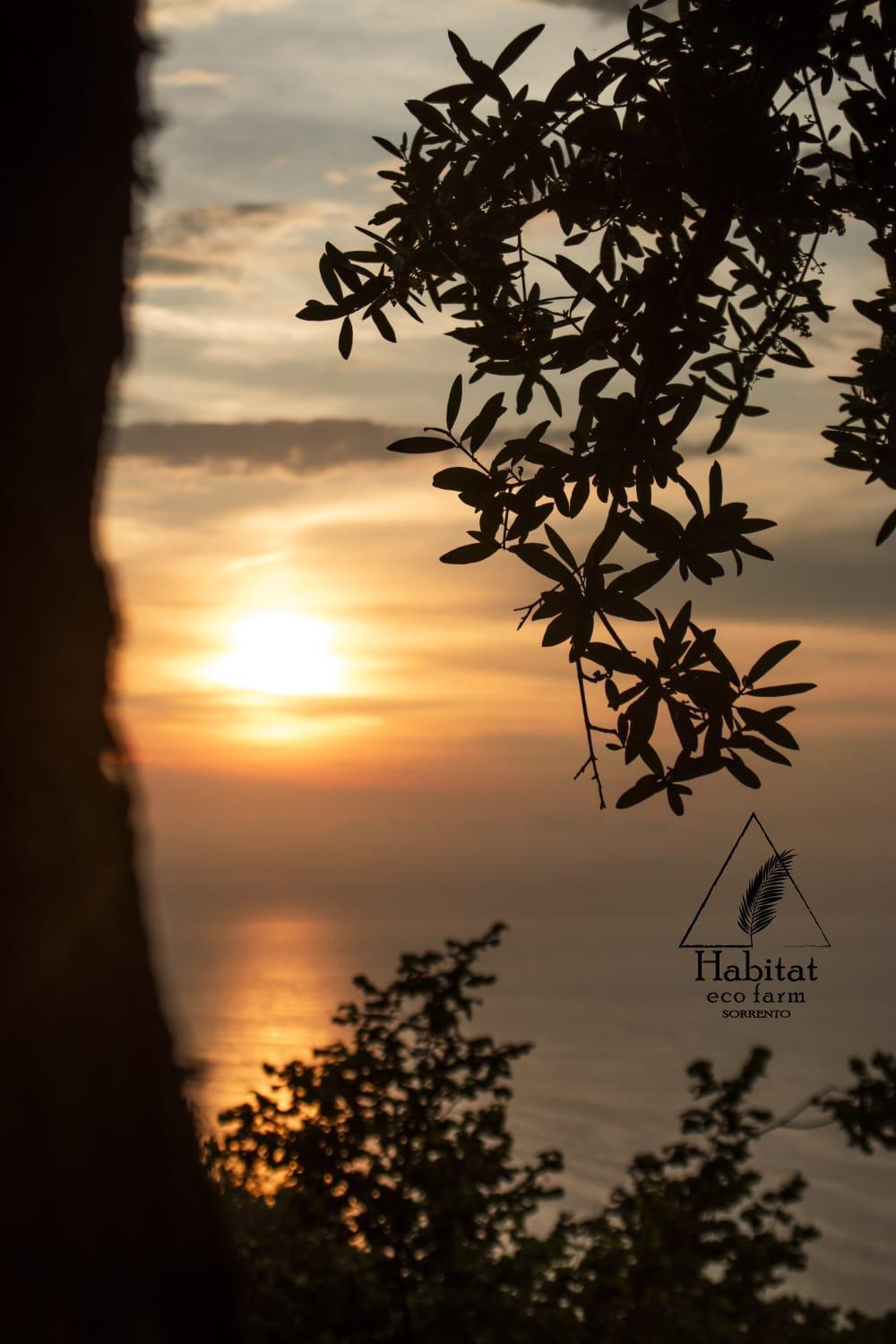 Habitat Eco Farm Hotel Sorrento Bagian luar foto