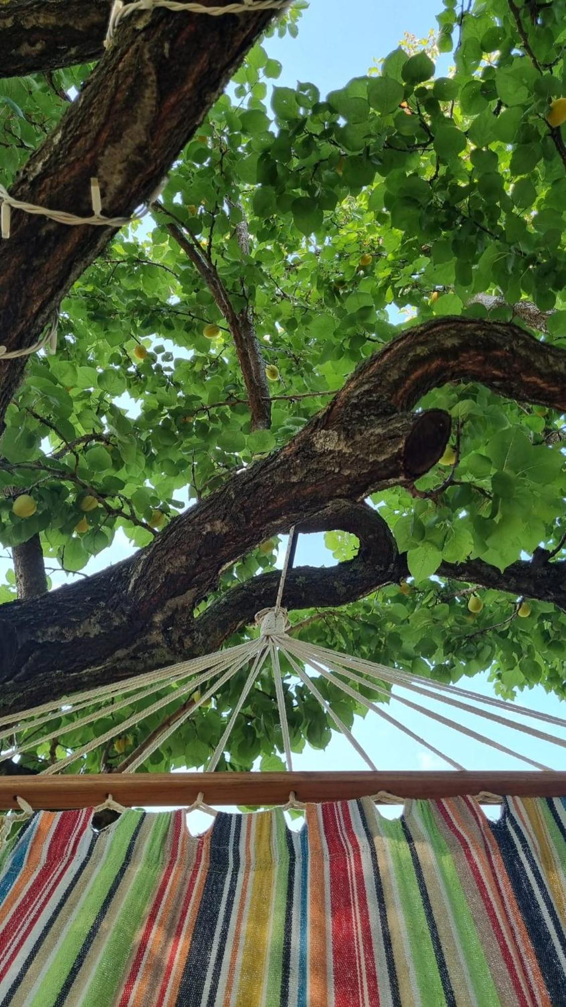 Habitat Eco Farm Hotel Sorrento Bagian luar foto